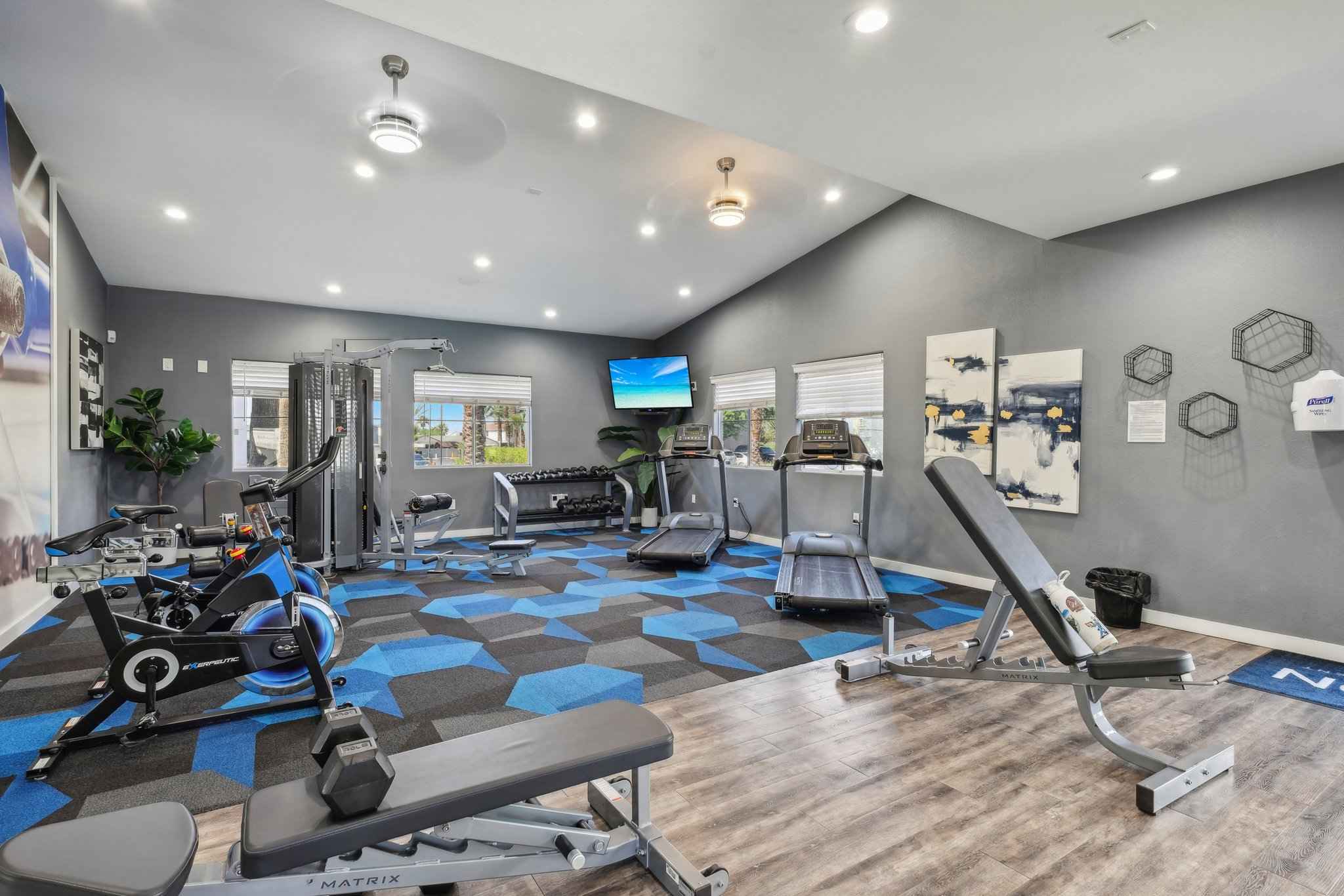 different angle of full view of gym showing mutliple windows at Millennium East